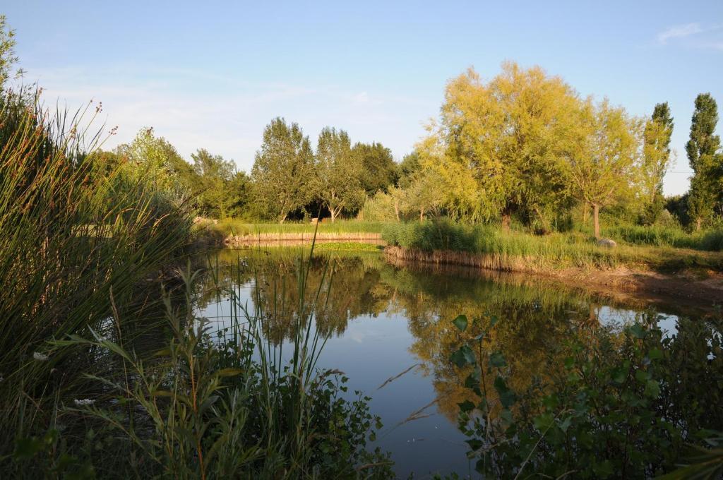 Domaine De La Begude Hotel Les Saquetons Værelse billede