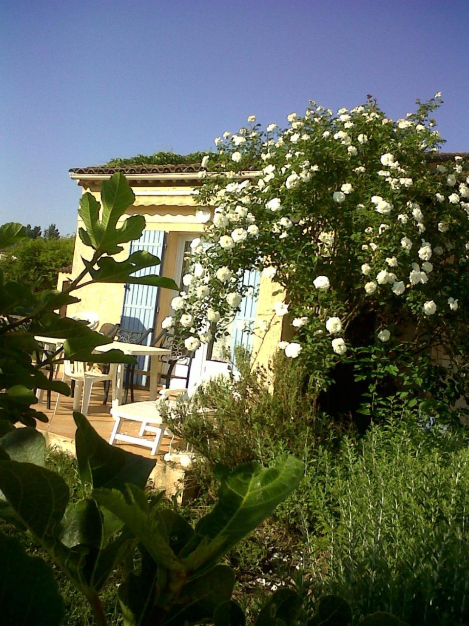 Domaine De La Begude Hotel Fayence Eksteriør billede